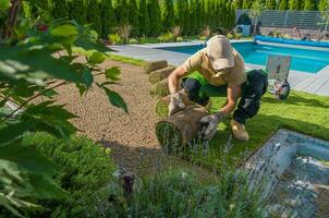 Gardener Rolling Out Turf Grass photo