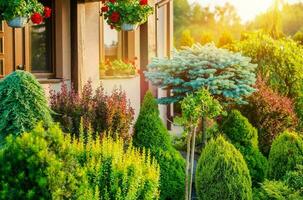 Garden in Front of House photo