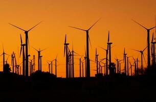 Wind Energy Power Plant During Scenic Sunset photo