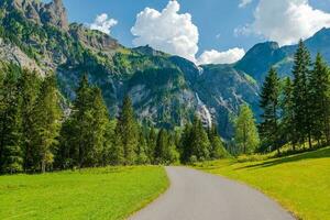 Adelboden Swiss Scenery photo