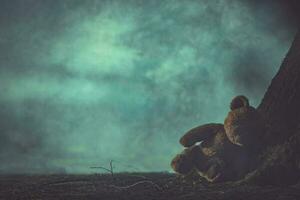 Child Abuse Concept with Lost Teddy Bear in Dark Foggy Forest. photo
