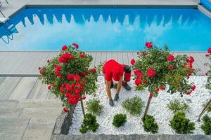 Gardener Doing Pool Landscaping photo