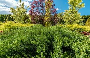 View Of Private Garden With Shrubs Bushed And Hedges. photo