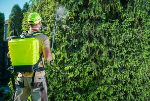 Insecticide Garden Spraying photo