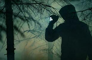 noche hora bosque buscar desaparecido personas tema foto