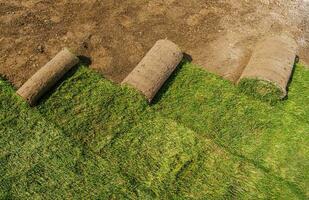 Roll of Natural Grass Turfs Rolls photo