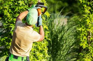 Professional Gardener Trimming Plants Back View photo