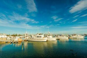 San Diego Marina photo