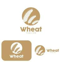 Rice Logo, Farm Wheat Logo Design, Vector Wheat Rice Icon Template Illustration