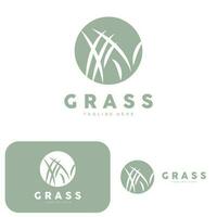 Green Grass Logo Design, Farm Landscape Illustration, Natural Scenery Vector