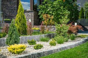 Backyard Rockery Garden with Small Plants photo