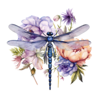 Watercolor dragonfly botanical illustration. Illustration png