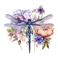 Watercolor dragonfly botanical illustration. Illustration png