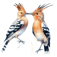 deux huppe des oiseaux. illustration ai génératif png