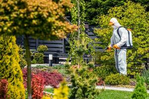 Fungicides of Backyard Garden Plants by Professional Garden Worker photo