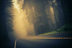 Foggy Forest Road photo