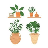 vector conjunto de plantas de interior plano estilo ilustración. monstera planta, dinero árbol y hogar plantas conjunto