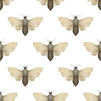 seamless pattern with Mystical luna moth vector illustrations, cute cartoon batterfly. Celestial night butterfly. Magic insect on white background. Design for wrapping paper, wall art, magical card