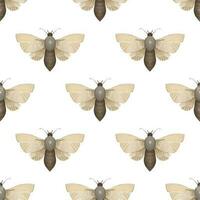 seamless pattern with Mystical luna moth vector illustrations, cute cartoon batterfly. Celestial night butterfly. Magic insect on white background. Design for wrapping paper, wall art, magical card