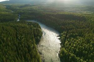 Woodlands and the River of Nordland County Norway Aerial View photo