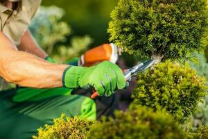 Pruning Shears Gardening Tool in Use photo