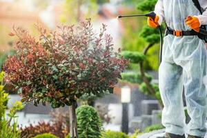 Garden Plants and Trees Fungicide and Pesticide Job photo