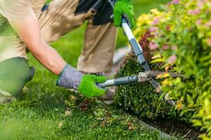 primavera hora jardín plantas guarnición mantenimiento foto