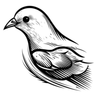 Beautiful Dove Silhouette - png