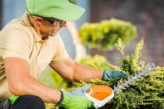 Garden Worker Trimming Shaping Decorative Tree photo