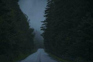 oscuro brumoso y lluvioso la carretera foto