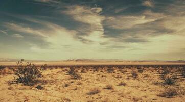 California Mojave Desert Raw Landscape photo