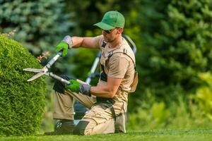 profesional jardín trabajador guarnición plantas utilizando tijeras foto