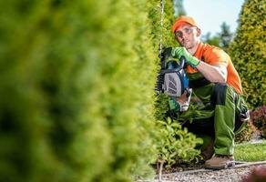 Gardener with Hedge Trimmer photo