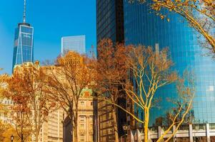 New York City Fall photo