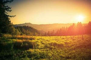 Northern California Countryside photo