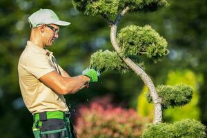 Garden Worker Trimming Decorative Tree Using Garden Shears photo