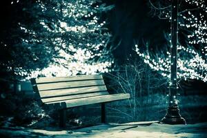 Park Bench in Winter photo