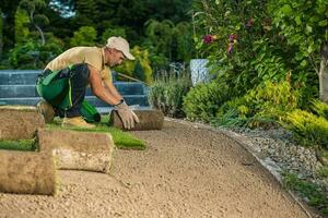 Garden Worker Installing Fresh Natural Grass Turfs From Rolls. photo