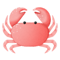 Cute pastel crab character png