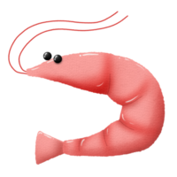 Red Shrimp Watercolor character png
