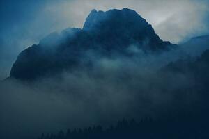 Foggy Wilderness Bluish Grading Background photo