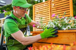 Caucasian Gardener Planting Flowers Inside Wooden Planter photo