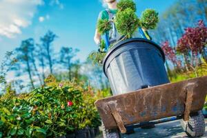 Garden Store Maintenance photo