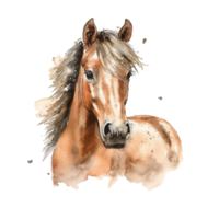 dibujado ilustración de adorable caballo, acortar arte, digital arte, alta definición, transparente antecedentes png