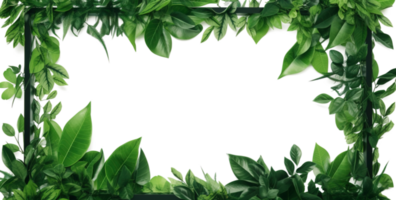 Grün Pflanze und Blätter Rahmen isoliert auf transparent Hintergrund, zum Hochzeit Einladungen und Gruß Karten, generieren ai png
