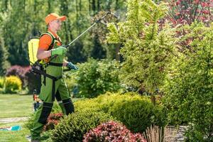 hombres pulverización pesticidas en jardín plantas foto