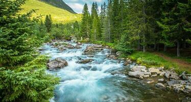 Scenic Summer Landscape photo