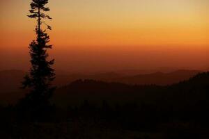 Sierra Nevada Sunset photo