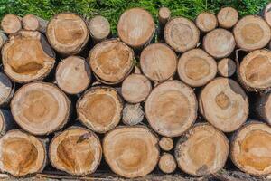 Timber Lumber Industry photo
