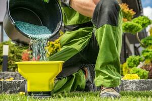 Gardener Filling His Handheld Spreader with Granular Lawn Fertilizer photo